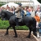 CRW_5883.jpg